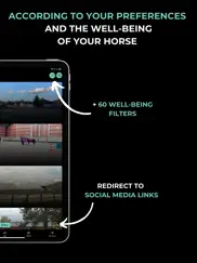 horse republic mobile app ipad images 4