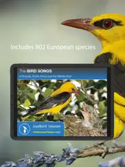 bird songs europe north africa iPad Captures Décran 1