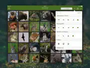 wilde tiere und spuren pro iPad Captures Décran 2
