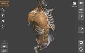 3d anatomy for the artist 2023 iphone resimleri 1