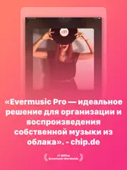 evermusic pro: оффлайн плеер айпад изображения 1