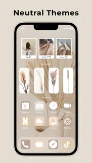 screenkit, widget, theme, icon iphone resimleri 4