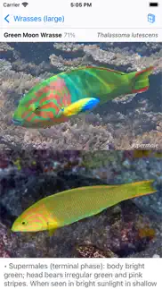 lord howe fish id iPhone Captures Décran 4
