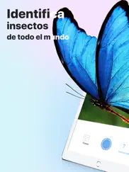 picture insect - insectos id ipad capturas de pantalla 1