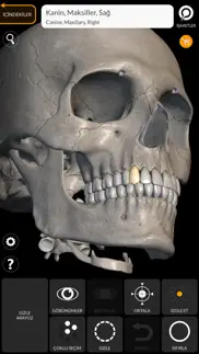 skeleton 3d anatomy iphone resimleri 1