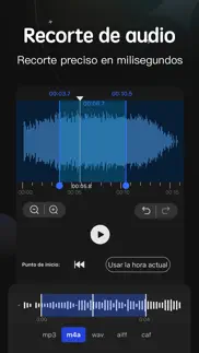 editor de audio tool - pro iphone capturas de pantalla 3