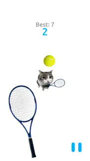 cat tennis battle iphone images 1