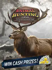 animal hunting cash tournament ipad images 1