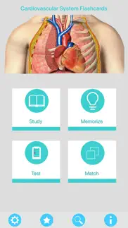 circulatory system flashcards iphone resimleri 1