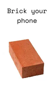brick iPhone Captures Décran 1