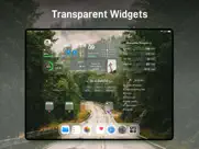 iscreen - widgets & themes айпад изображения 4