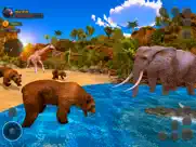 wild bear simulator animal sim iPad Captures Décran 4