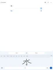 google Çeviri ipad resimleri 4