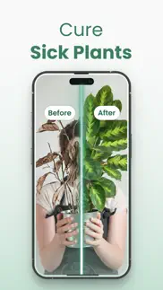 plantify: plant identifier айфон картинки 4