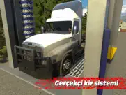 truck simulator pro usa ipad resimleri 4