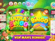 bingo party！live classic bingo ipad images 1