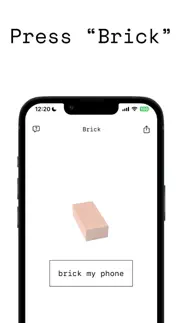brick iPhone Captures Décran 2