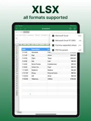 spreadsheets ipad images 3