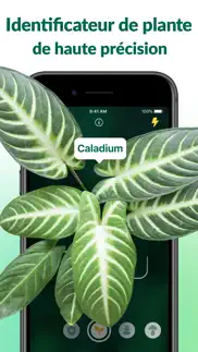 plantum - reconnaitre plantes iPhone Captures Décran 1