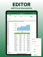 spreadsheets ipad images 2