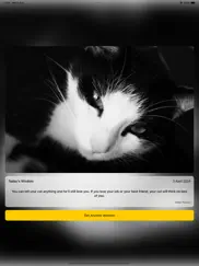 cat wisdom - cat lovers app ipad resimleri 2