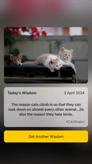 cat wisdom - cat lovers app iphone resimleri 1