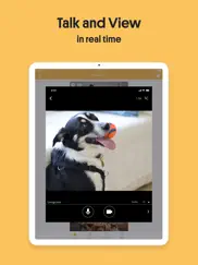 alfred home security camera ipad images 4