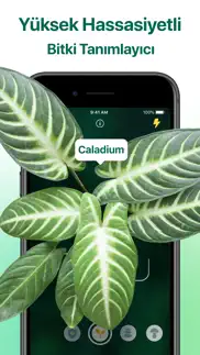 plantum・bitki ve yaprak tanıma iphone resimleri 1