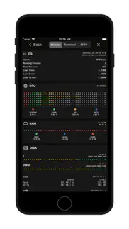 shellbean - ssh terminal iPhone Captures Décran 2