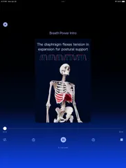 diaphragm recovery ipad images 4
