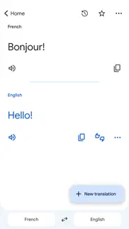 google translate iphone images 3