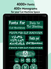 cricut fonts for design space айпад изображения 1