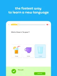 duolingo - language lessons ipad images 2