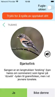 Kvitromat - Fuglesang ID iphone bilder 2